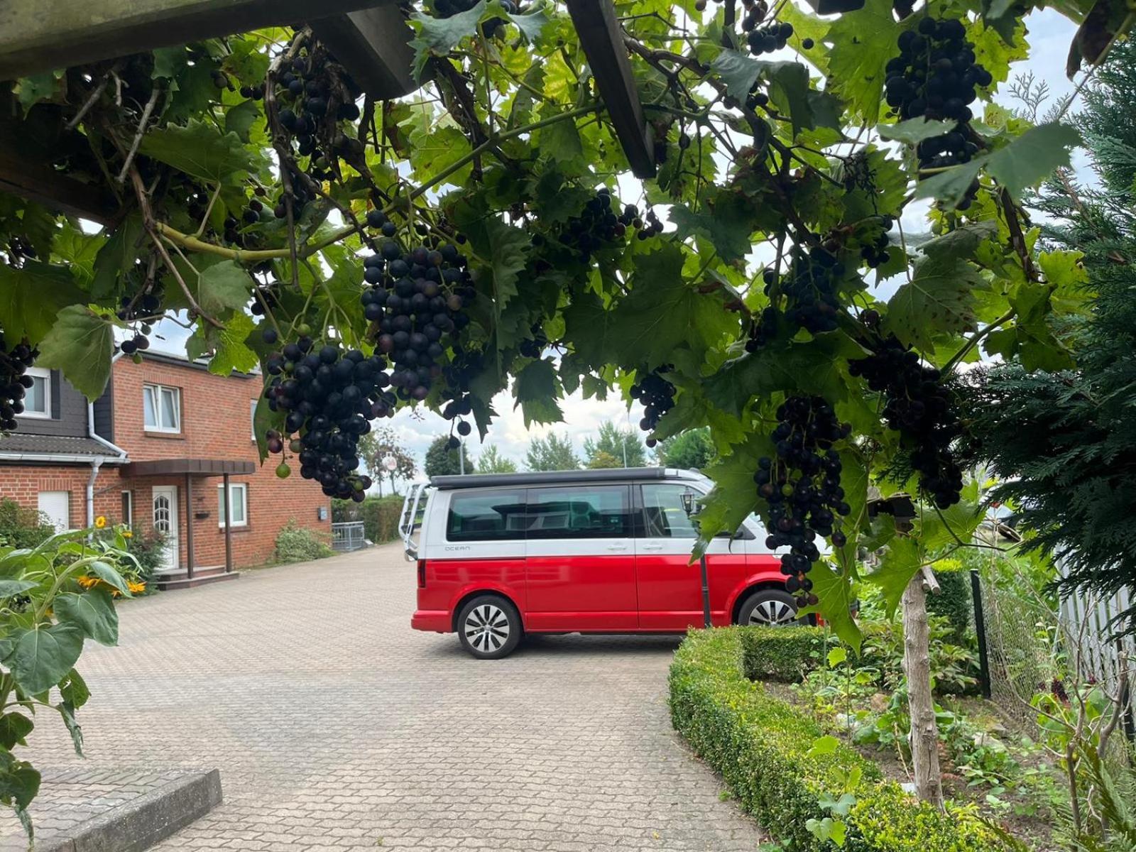 Neumuehler Hof- Ferienwohnung "Benjamin" Mit Grosser Privater Dachterasse Und Guter Anbindung In Die City Schwerin  Dış mekan fotoğraf